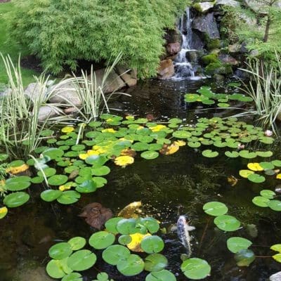 West Bloomfield, MI Landscape Design Image