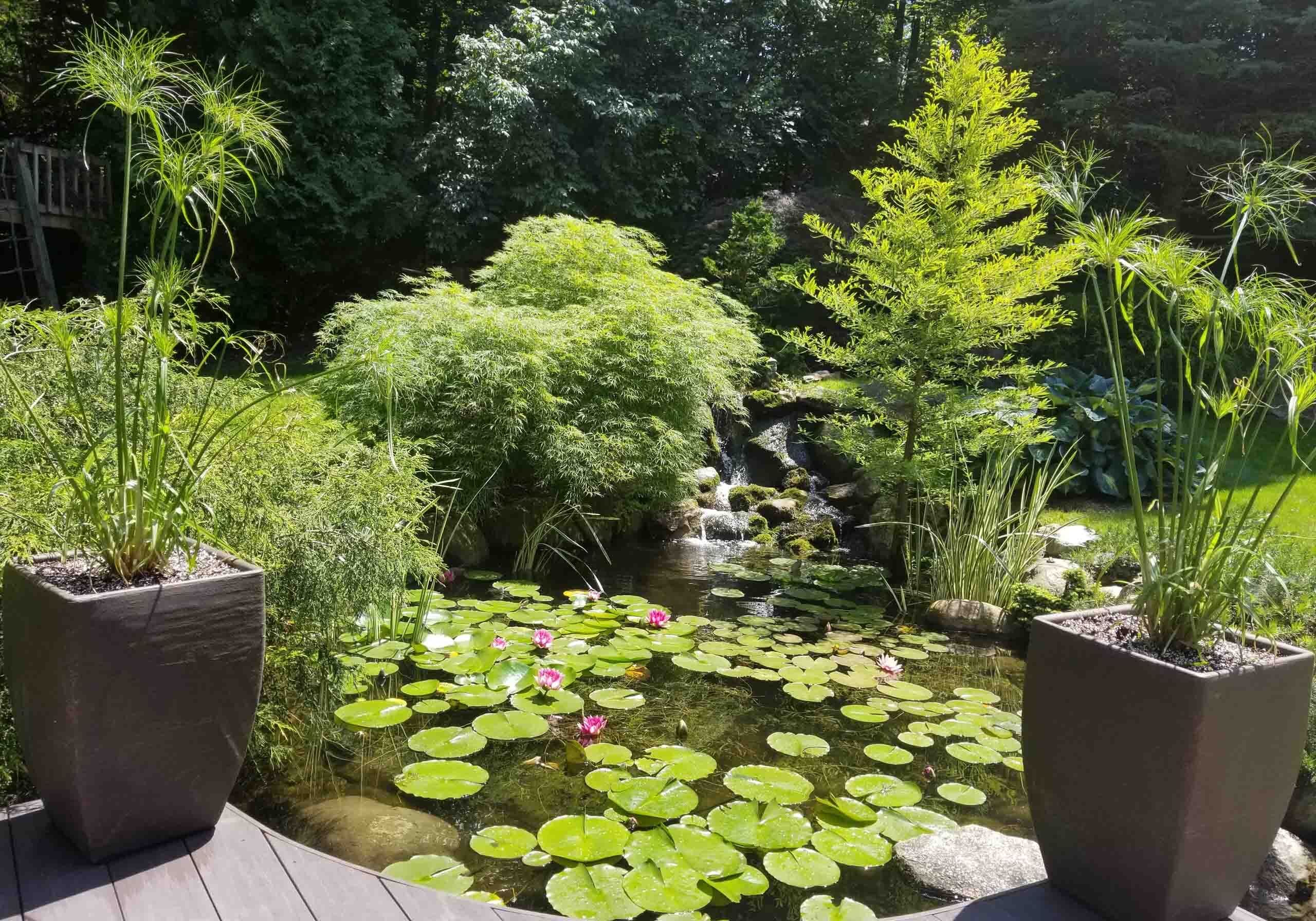 Bloomfield Township, MI Landscaping Services